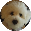 Jackie profile picture